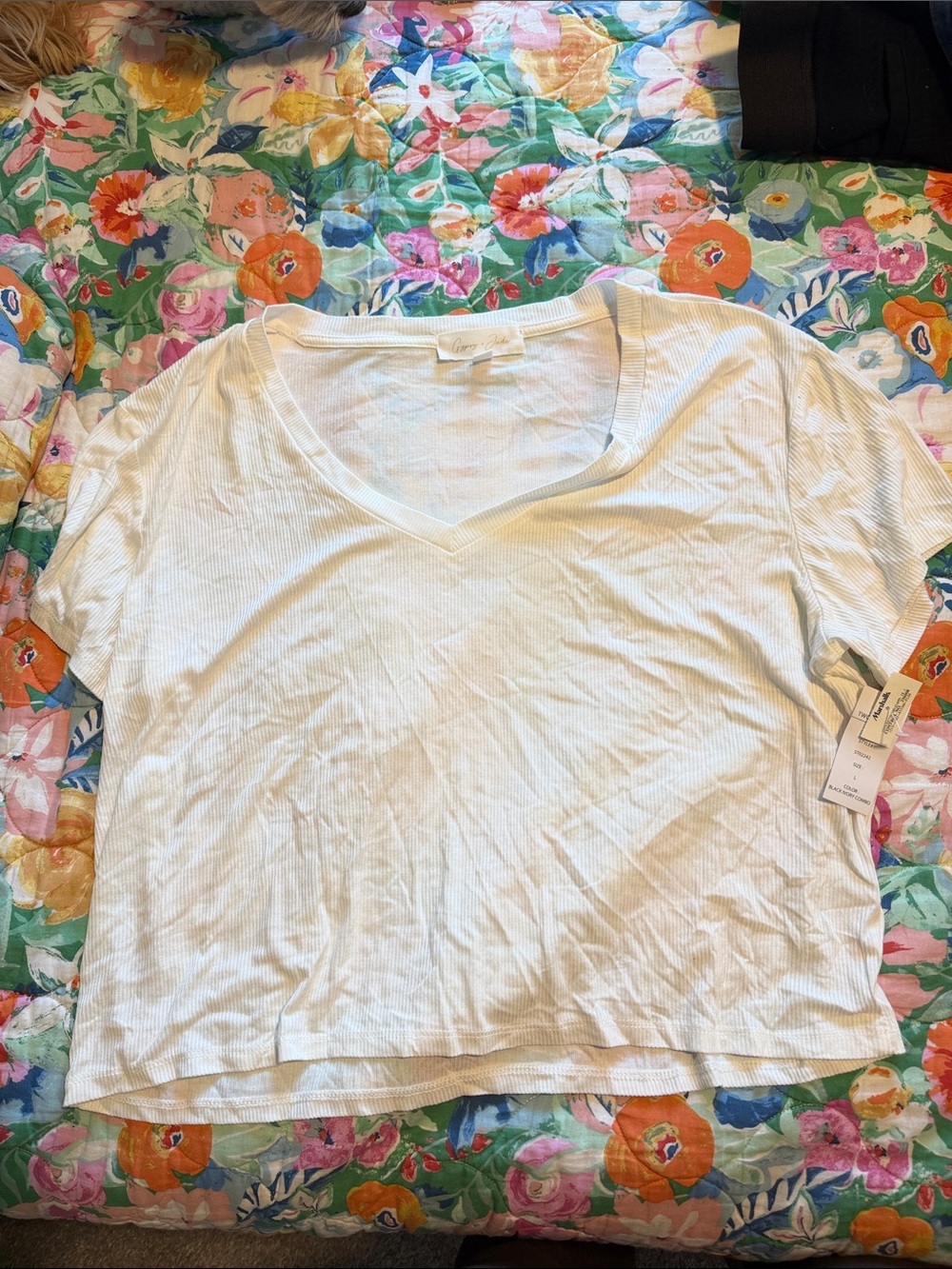 Women's White and Black  V-Neck Ribbed tshirts